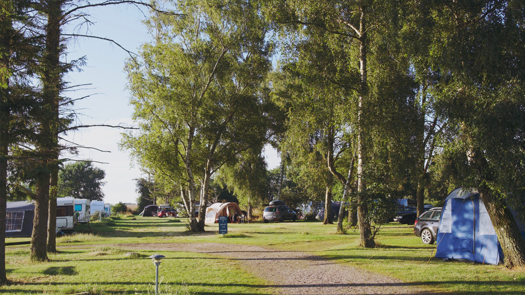 Ristinge Camping
