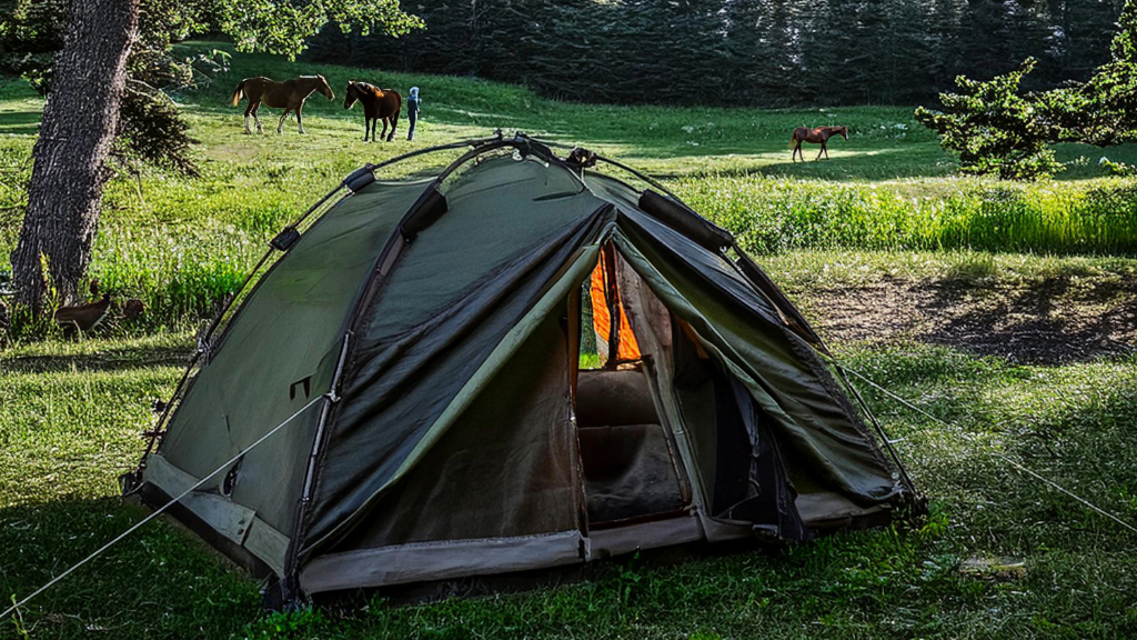 Tent site at Langeland Camping