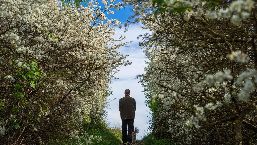 Forår på Ristinge Klint