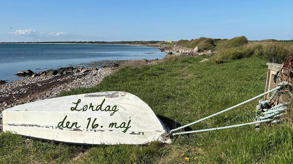 Båd på stranden