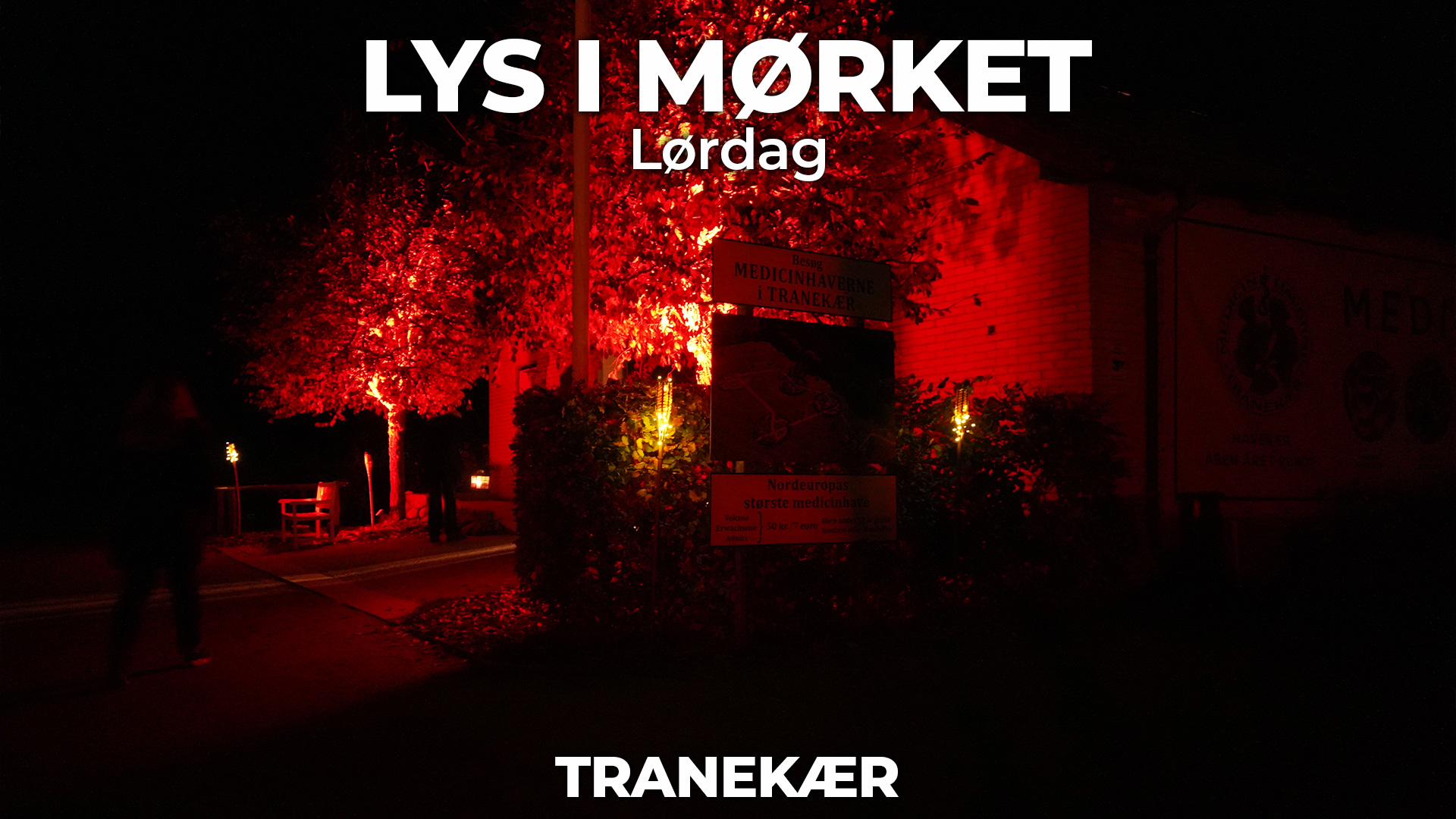 Lys i Mørket i Medicinhaverne