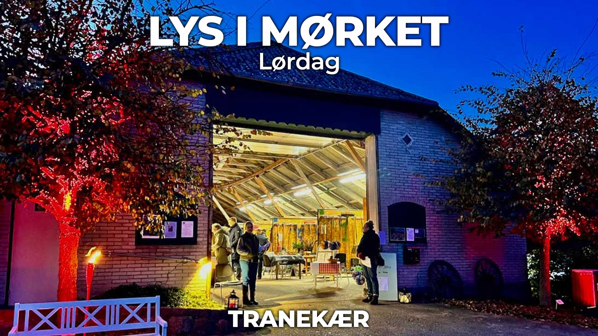 Lys i Mørket i Medicinhaverne
