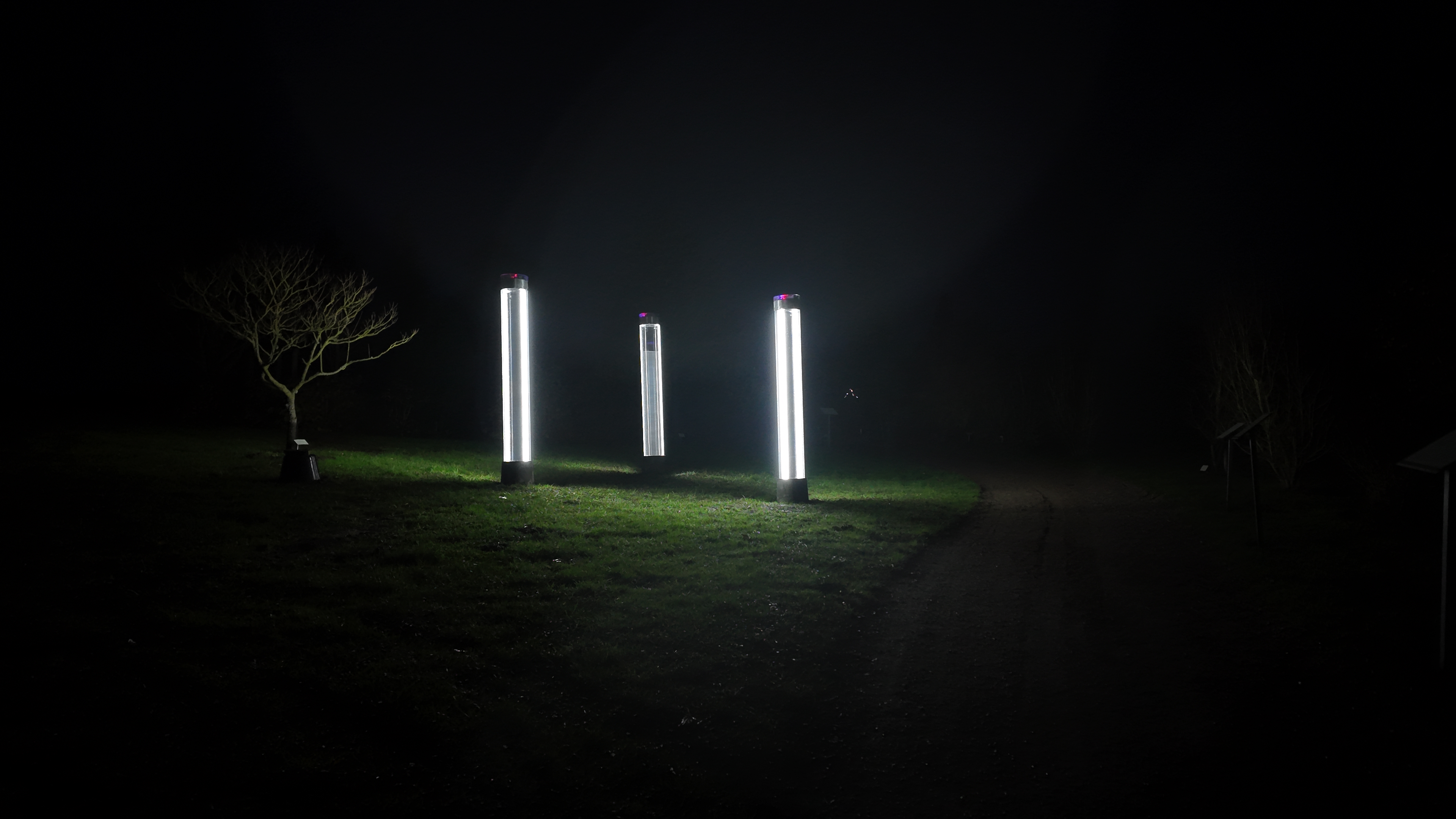 Glimt 2025 Langeland: Doopler