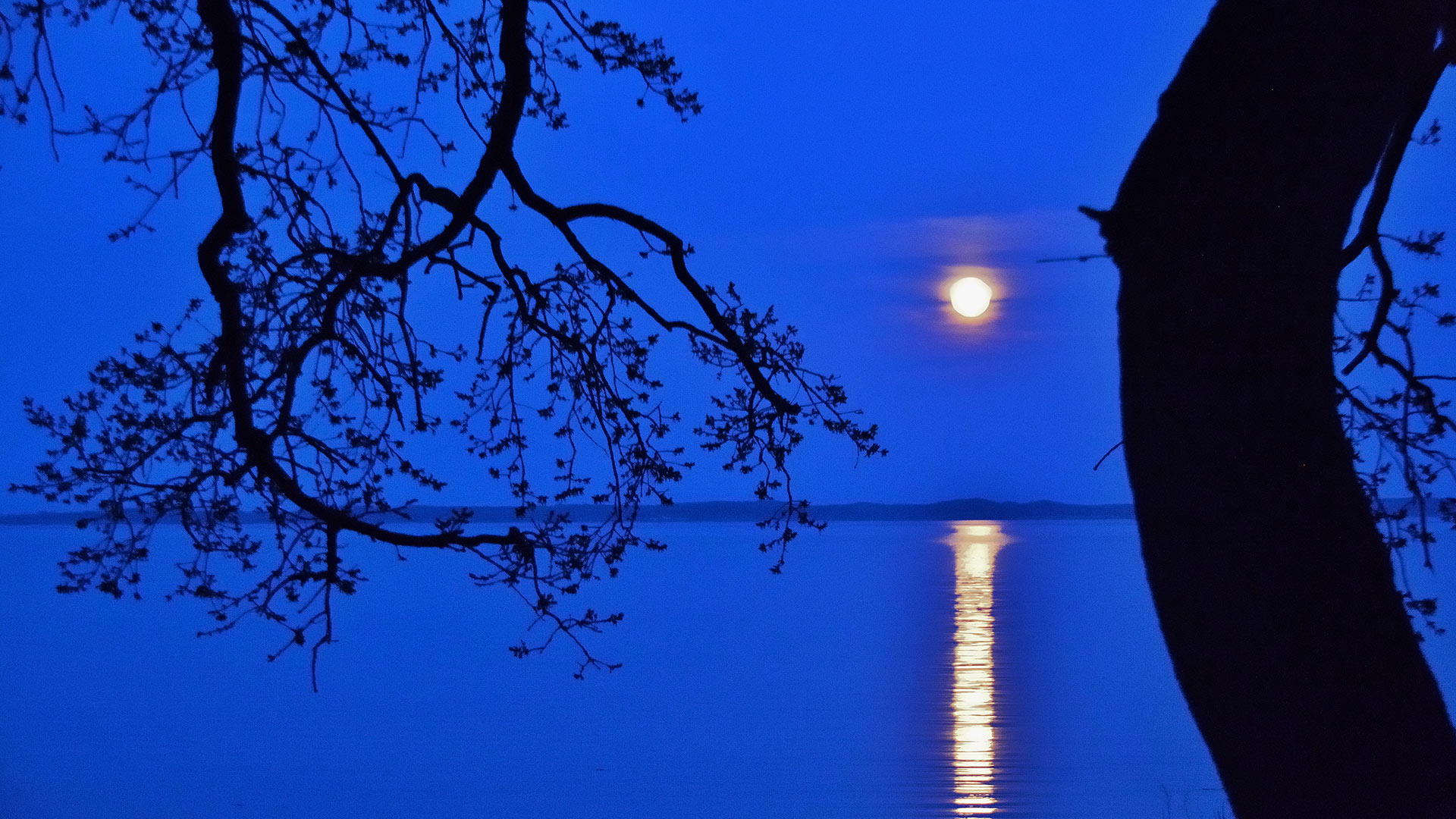 Fuldmåne over Langelandsbæltet