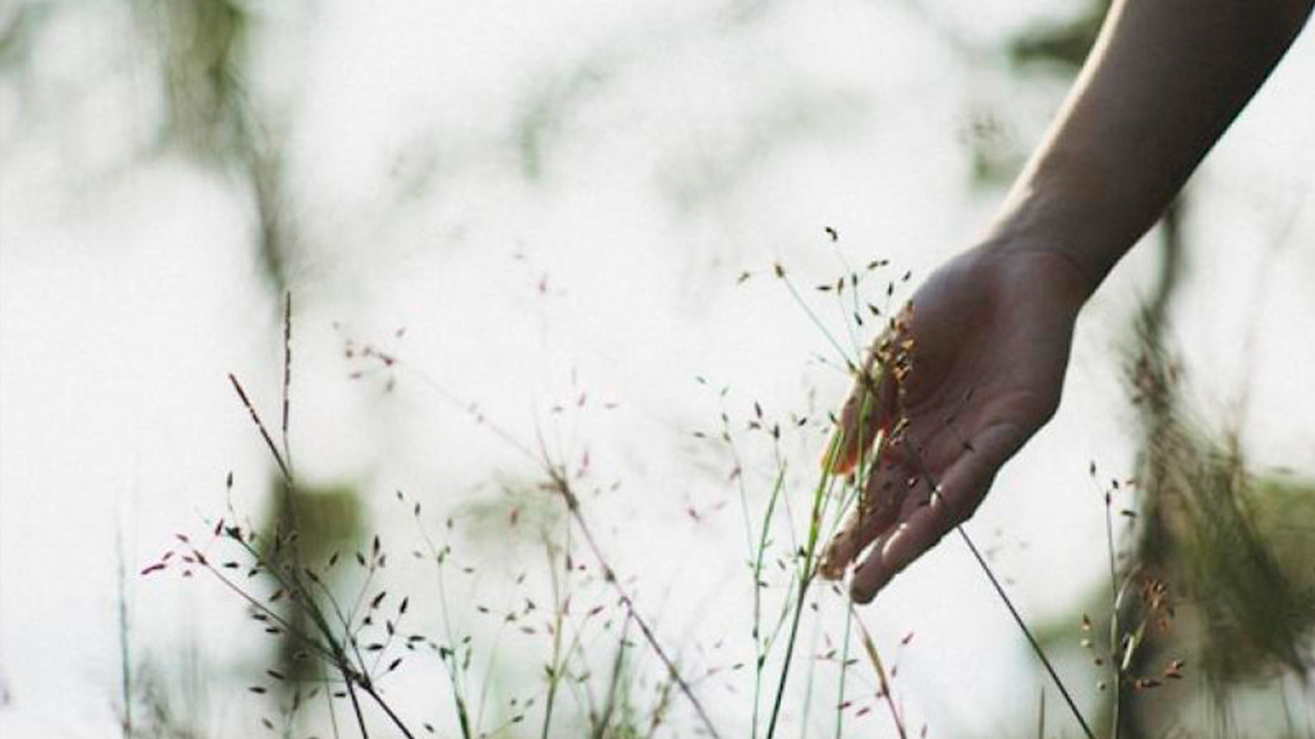 Naturens helende kraft