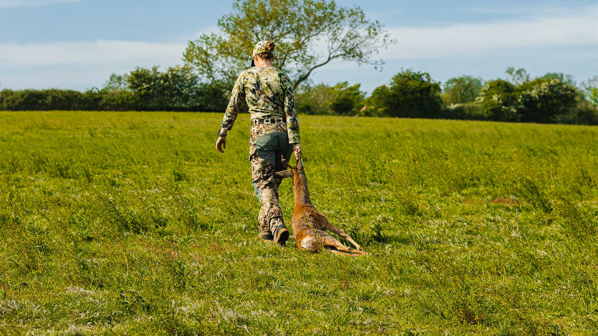 Hunting services on Langeland - Roebuck hunting