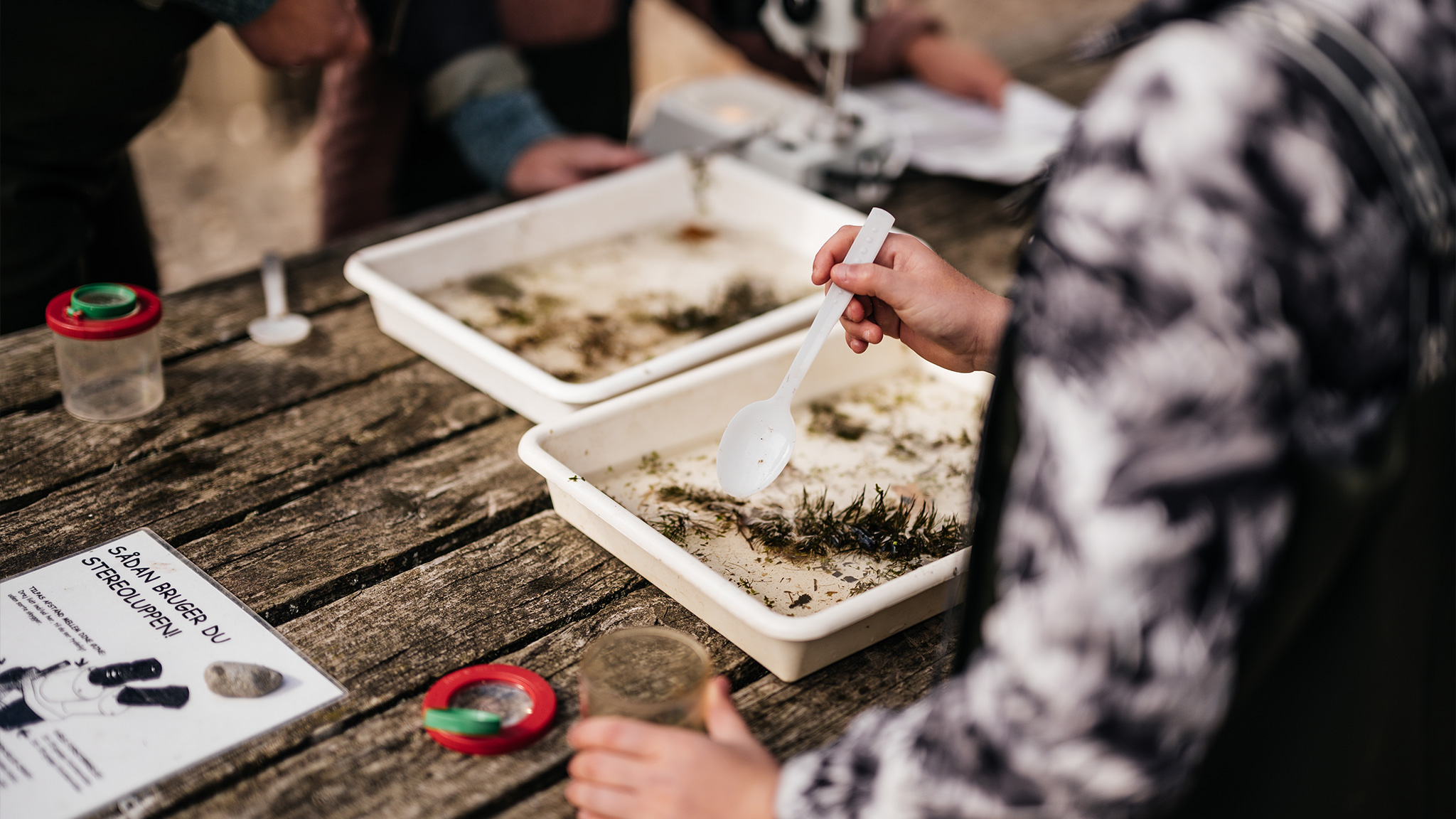 Naturdestination Skovsgaard