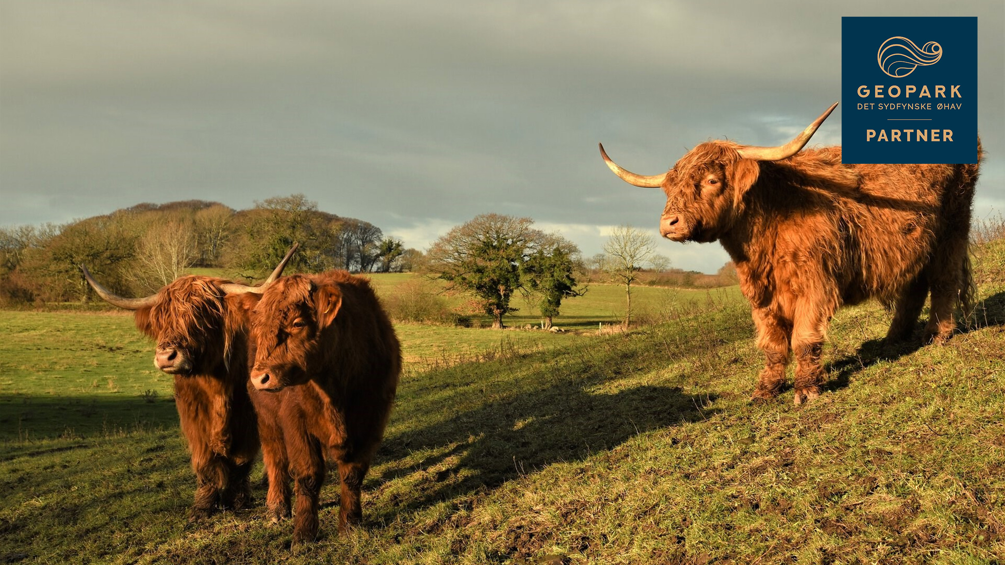 Naturdestination Skovsgaard