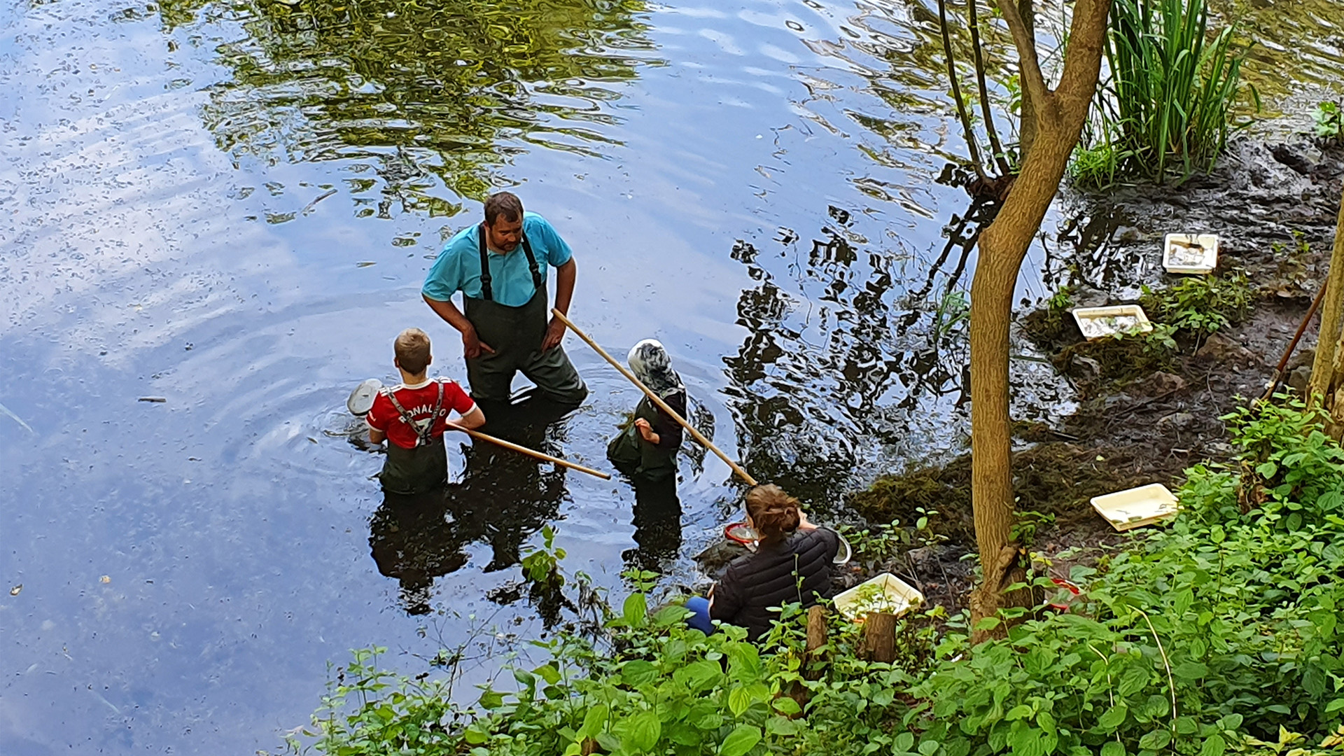 Safari ved vandhullet