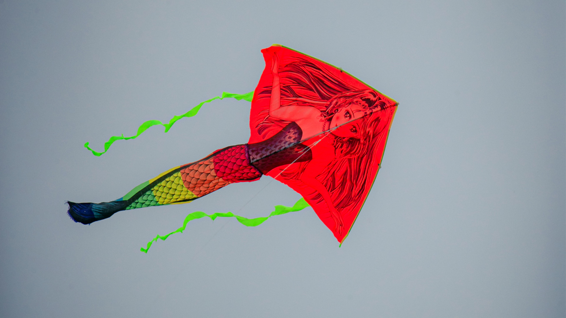 Spodsbjerg Kite Festival