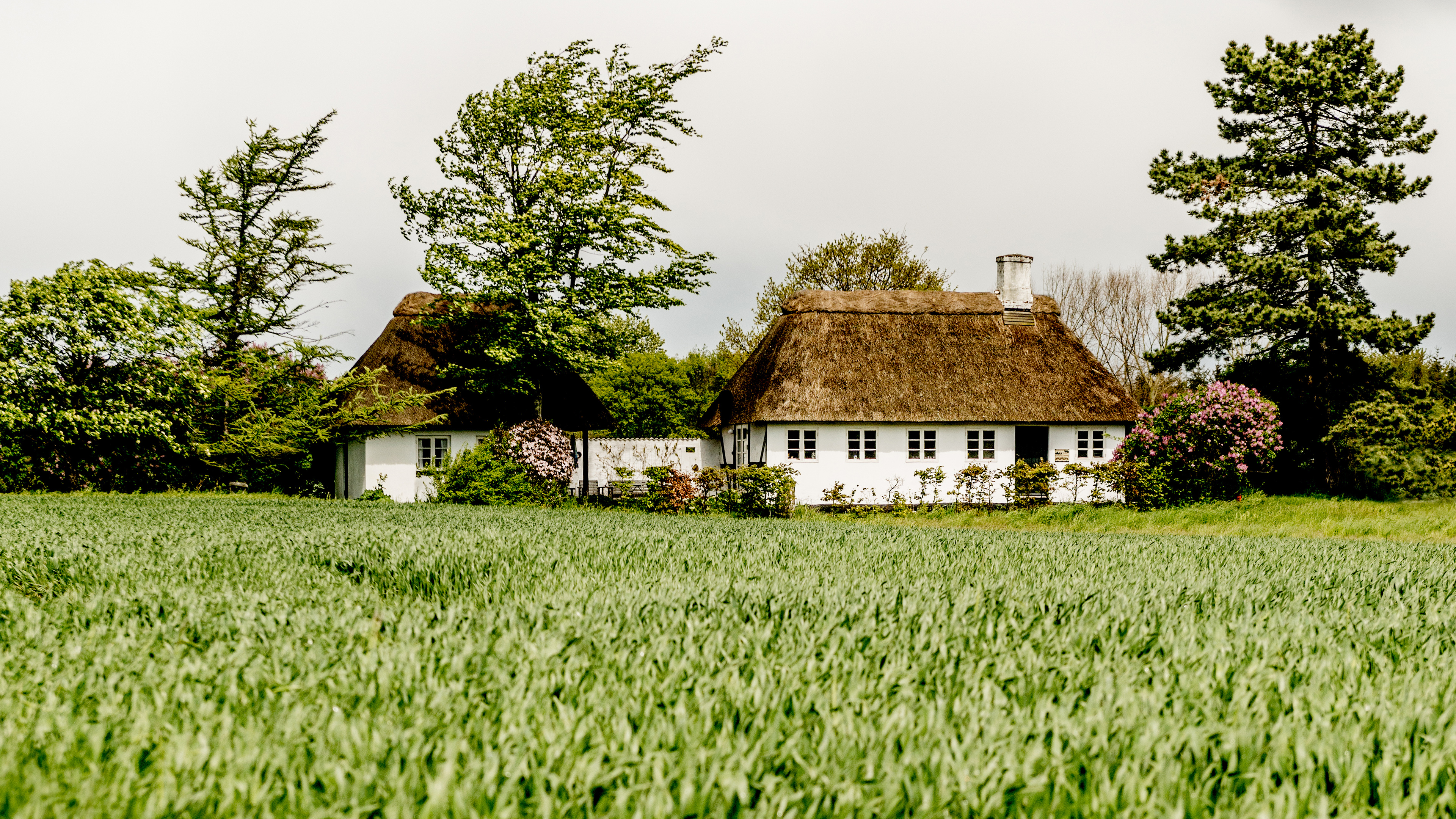 Idyllic farmhouse on Langeland