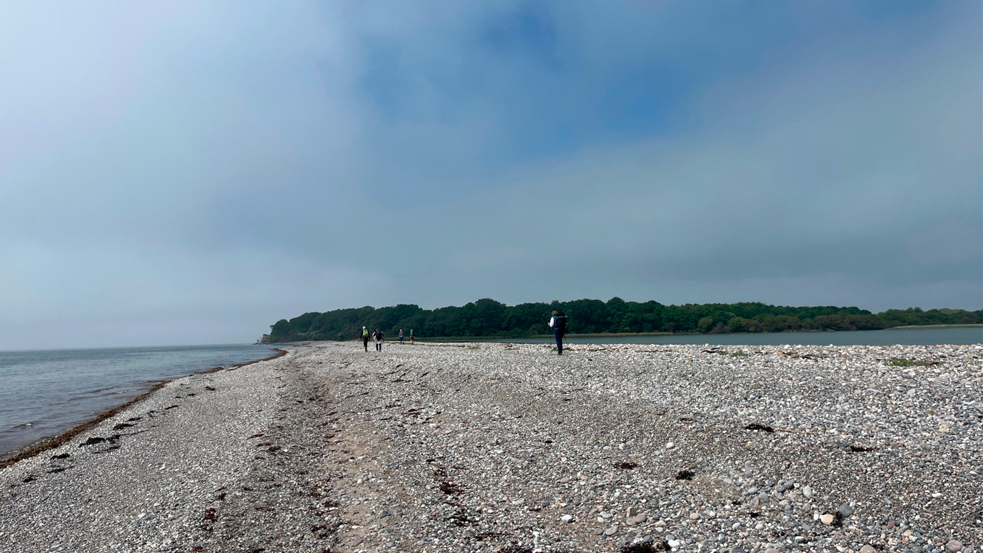 Gulstav, South Langeland