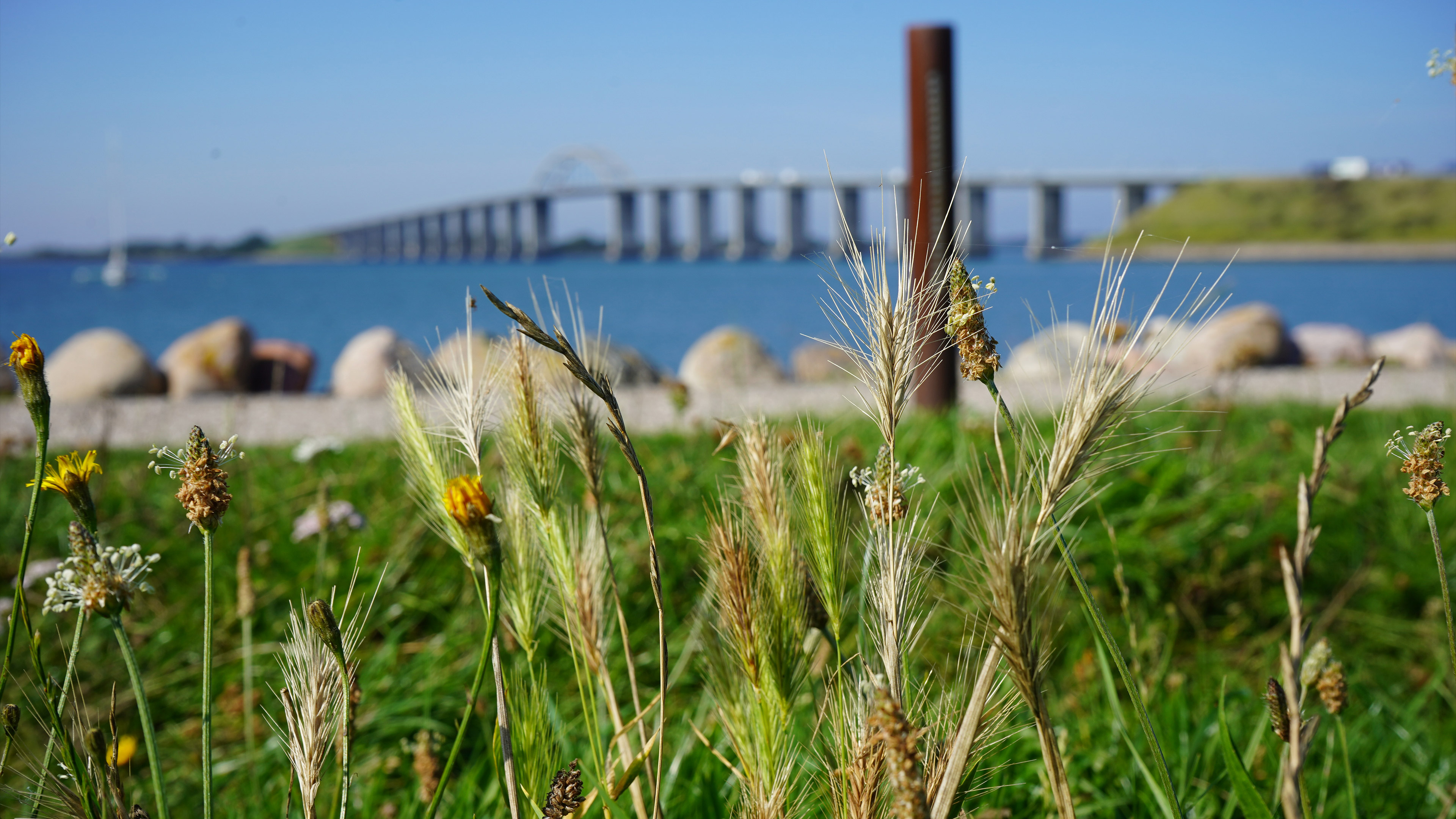 The Beach Park in Rudkøbing