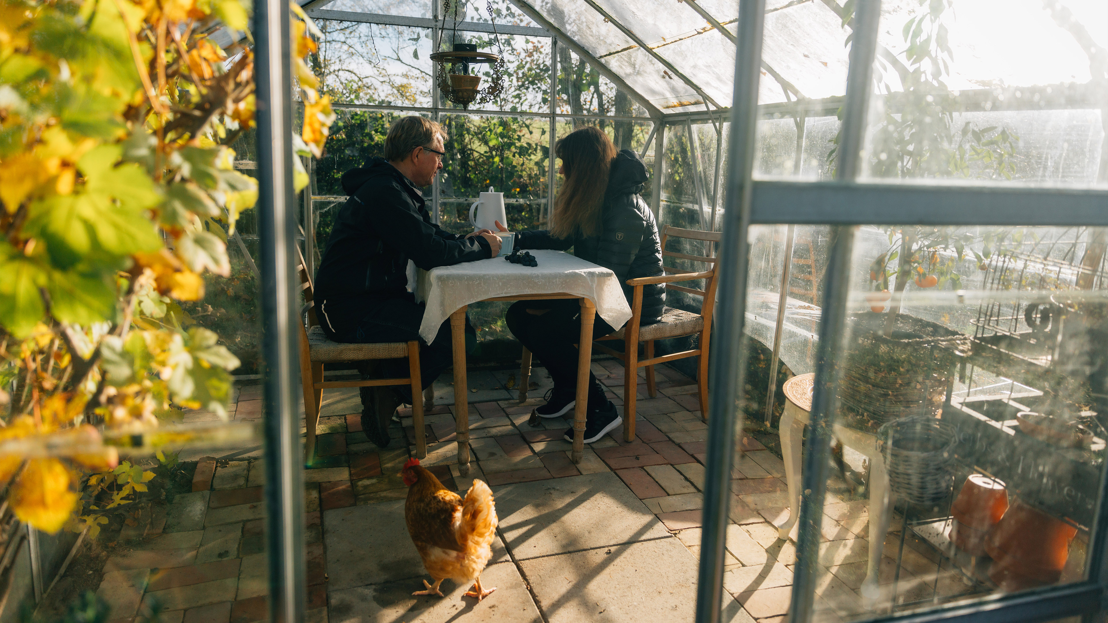 Par nyder eftermiddagssolen i drivhuset på AnnaHus