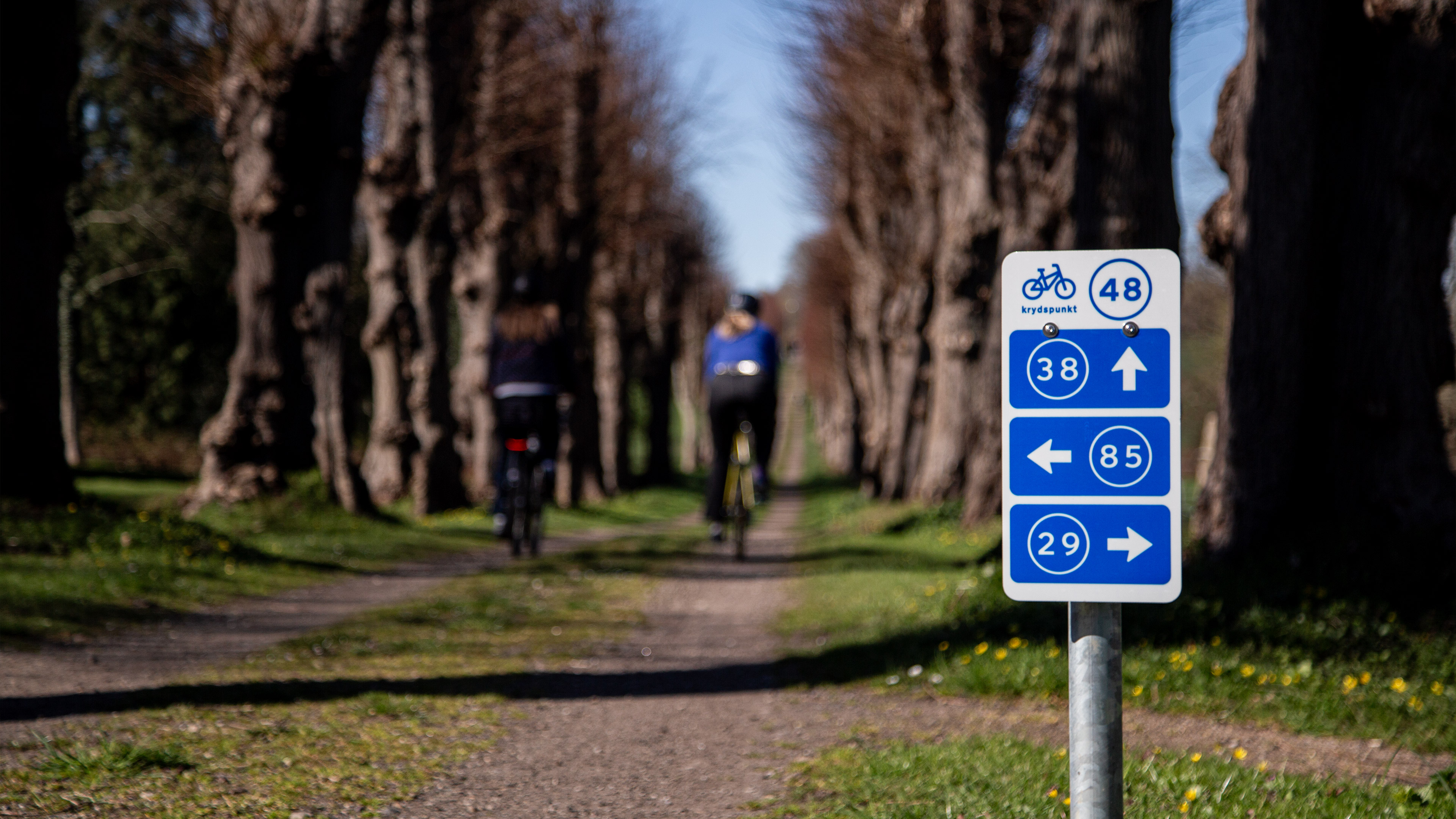 Cykelrute i Tranekær
