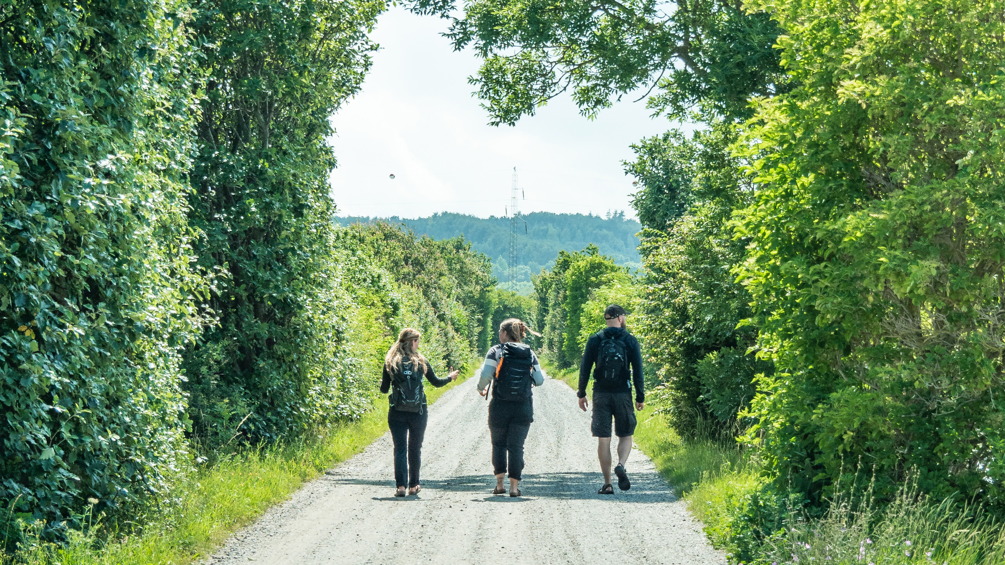 Vandring-Ærø