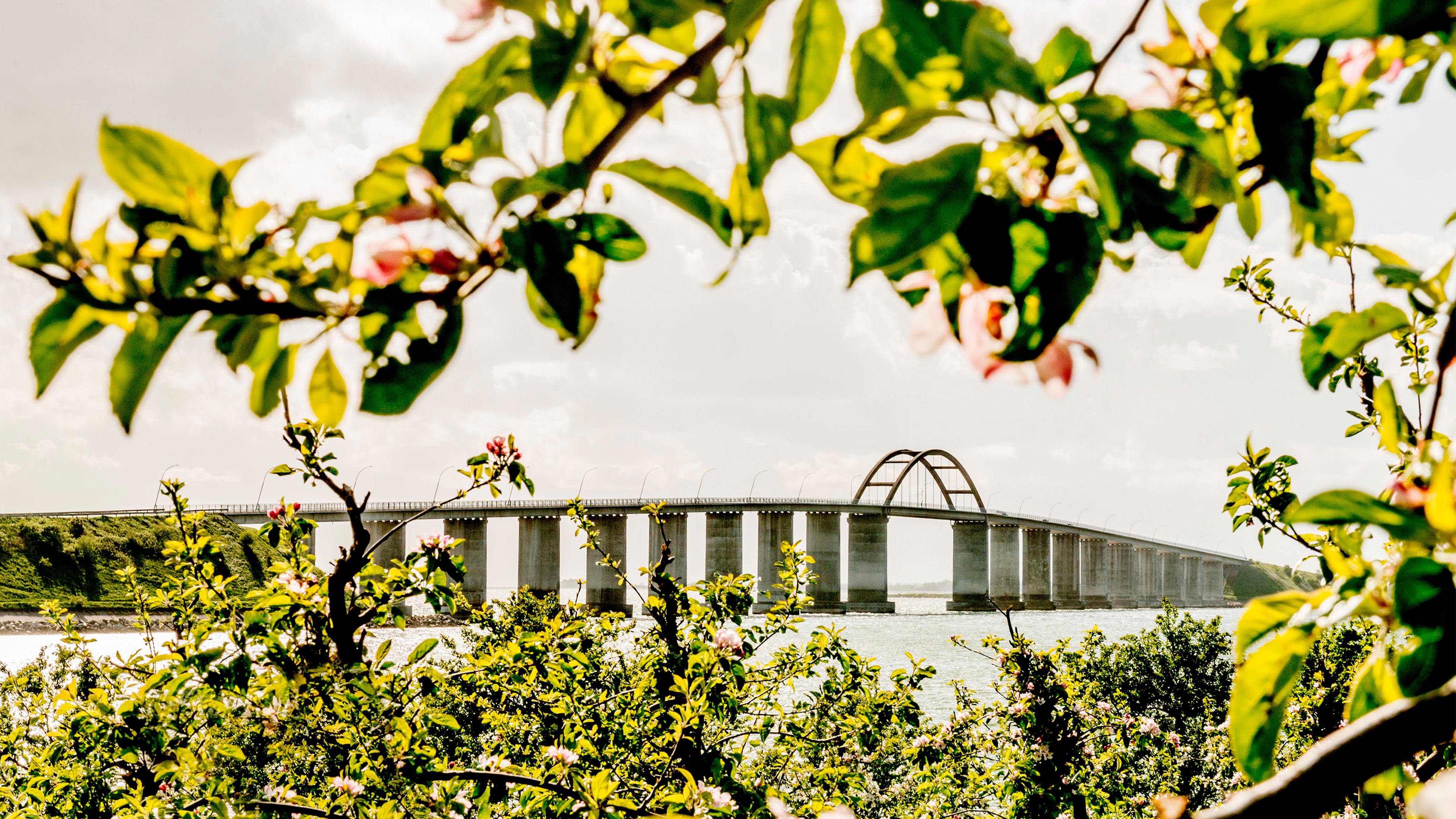 Die Langeland-Brücke