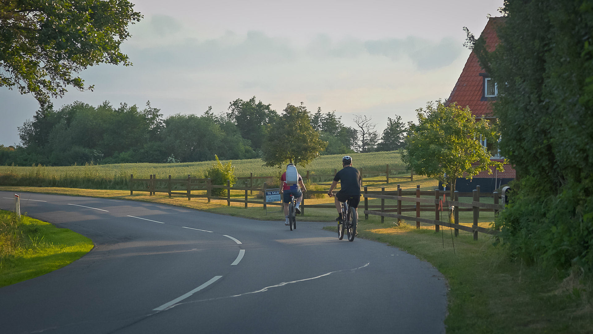 Two cyclists on a country road through the green countryside of Langeland