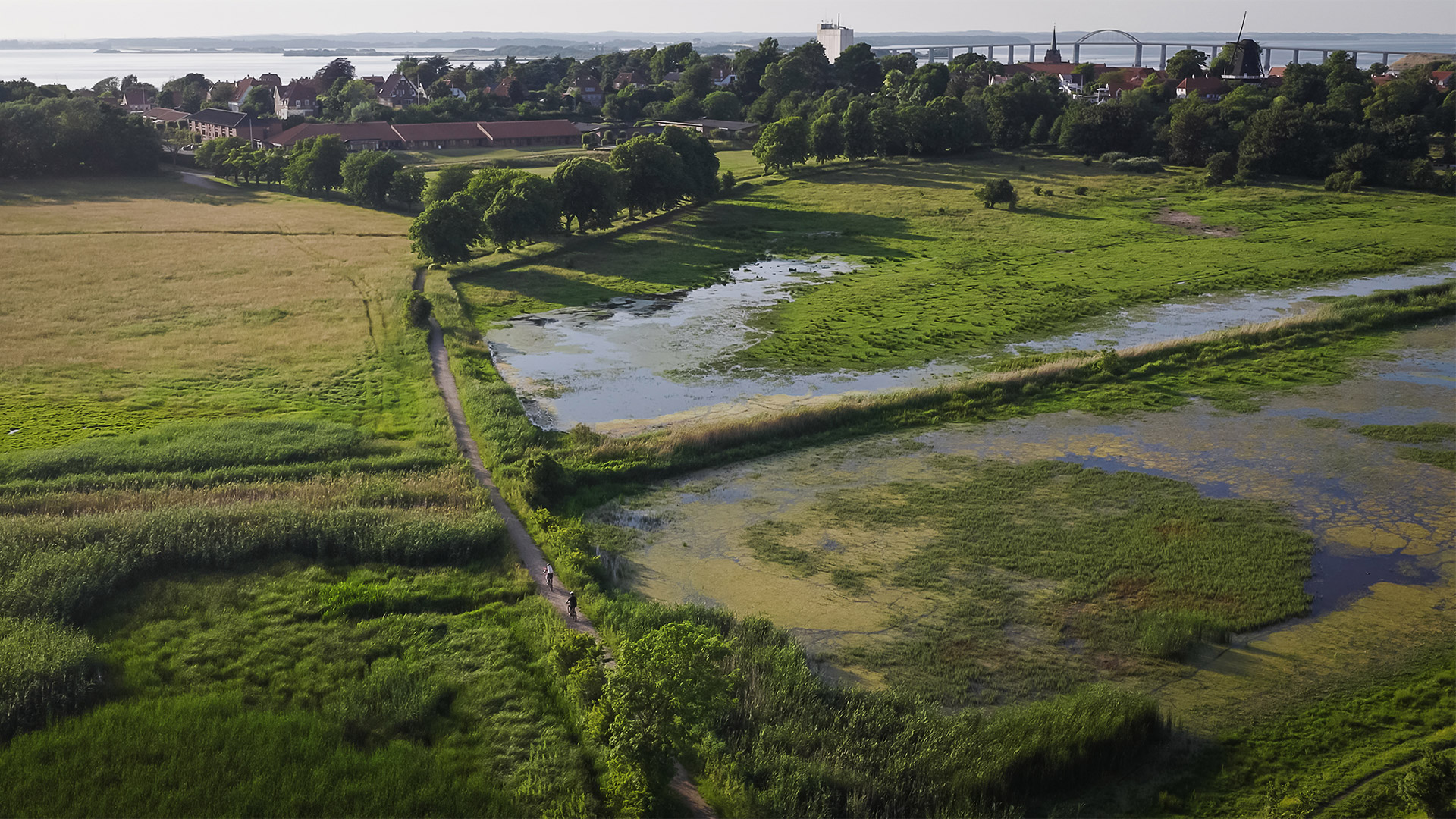 Blick auf das Feuchtgebiet Vejlen und Rudkøbing mit der Langeland-Brücke im Hintergrund