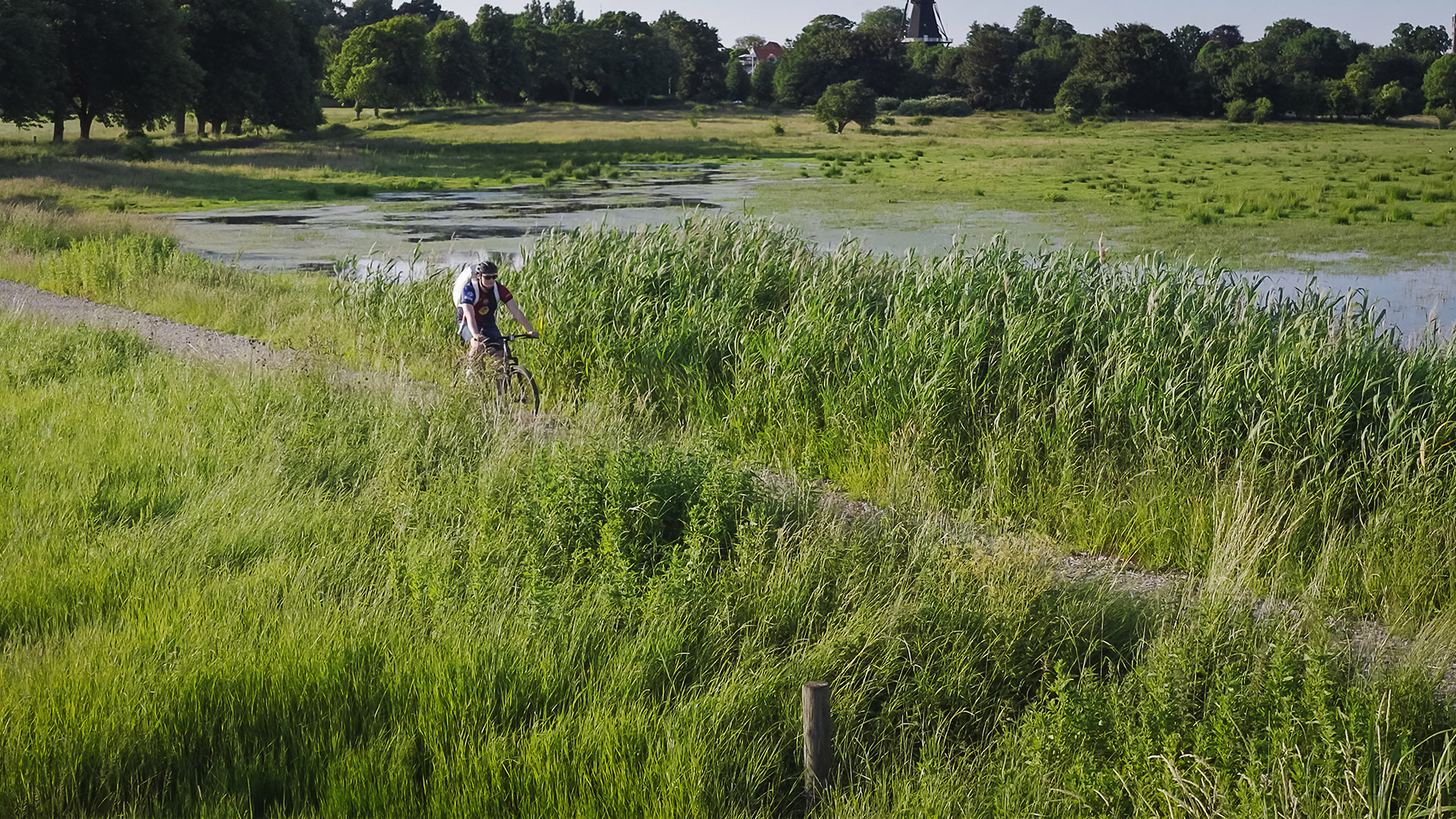 Cyclist on a path through a wetland area near Rudkøbing
