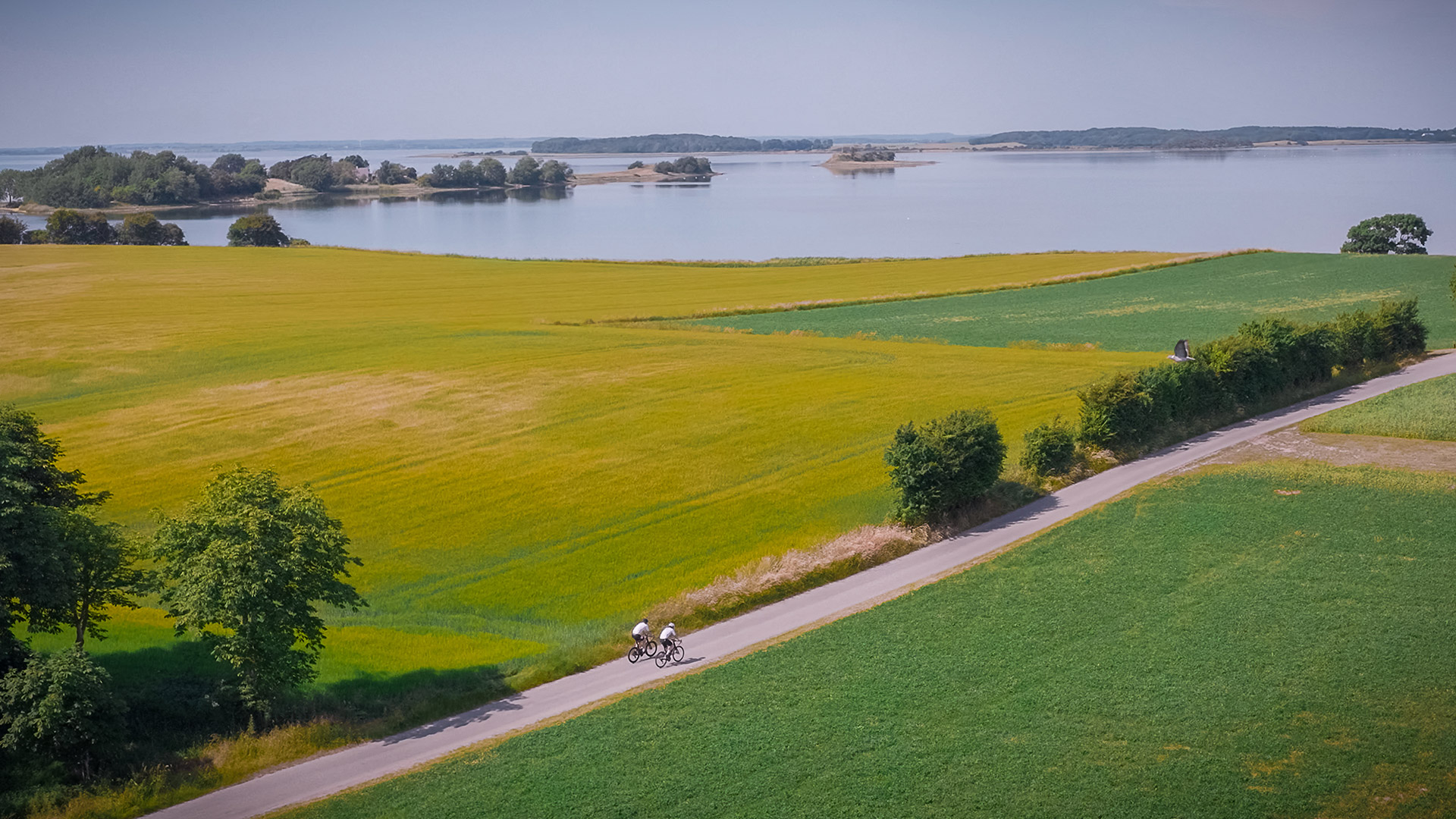 Two cyclists on a country road overlooking Lindelse Inlet on Langeland