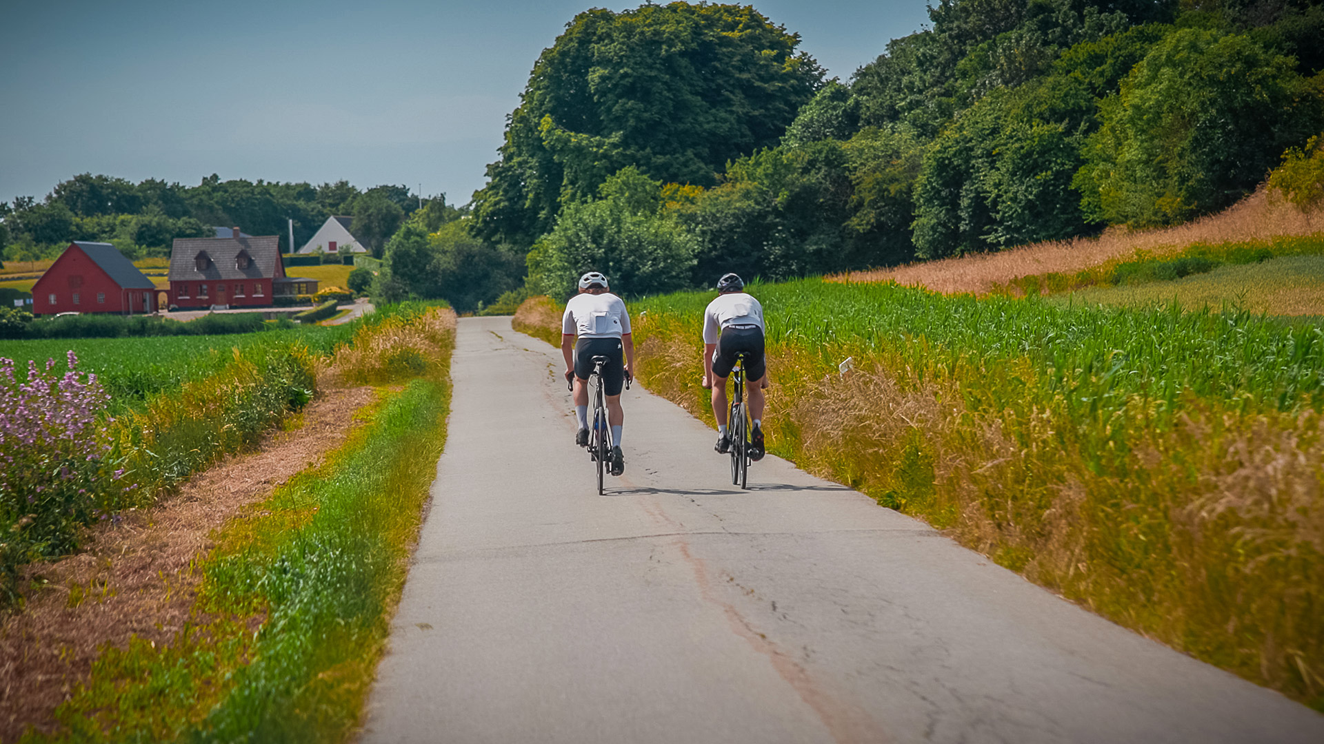 Two cyclists on a country road between fields and farms on southern Langeland