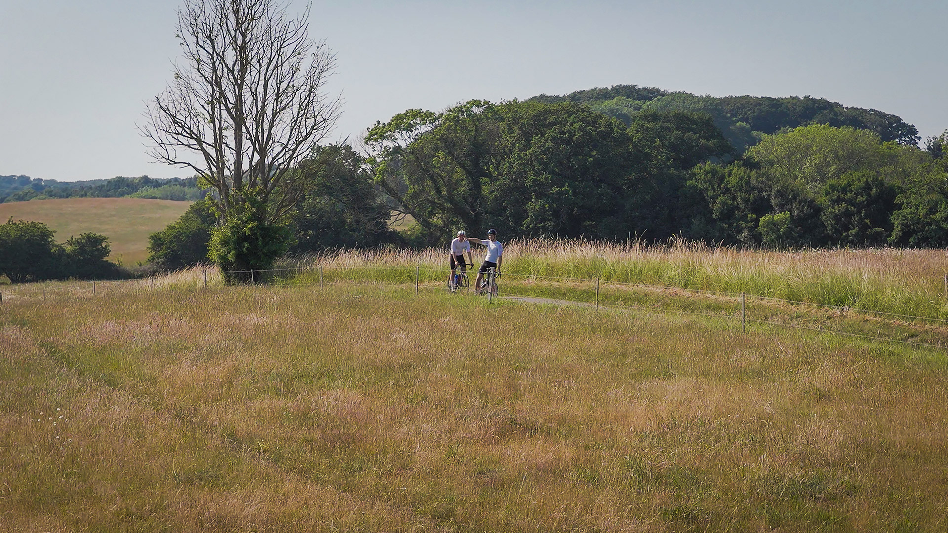 Two cyclists on a narrow road through meadows and woodland on southern Langeland
