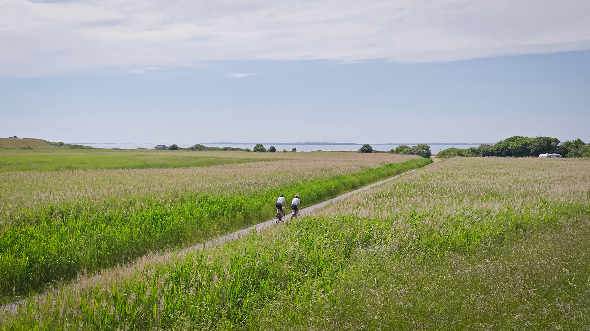Two cyclists on a country road through the open landscape near Tranekær with views of the sea