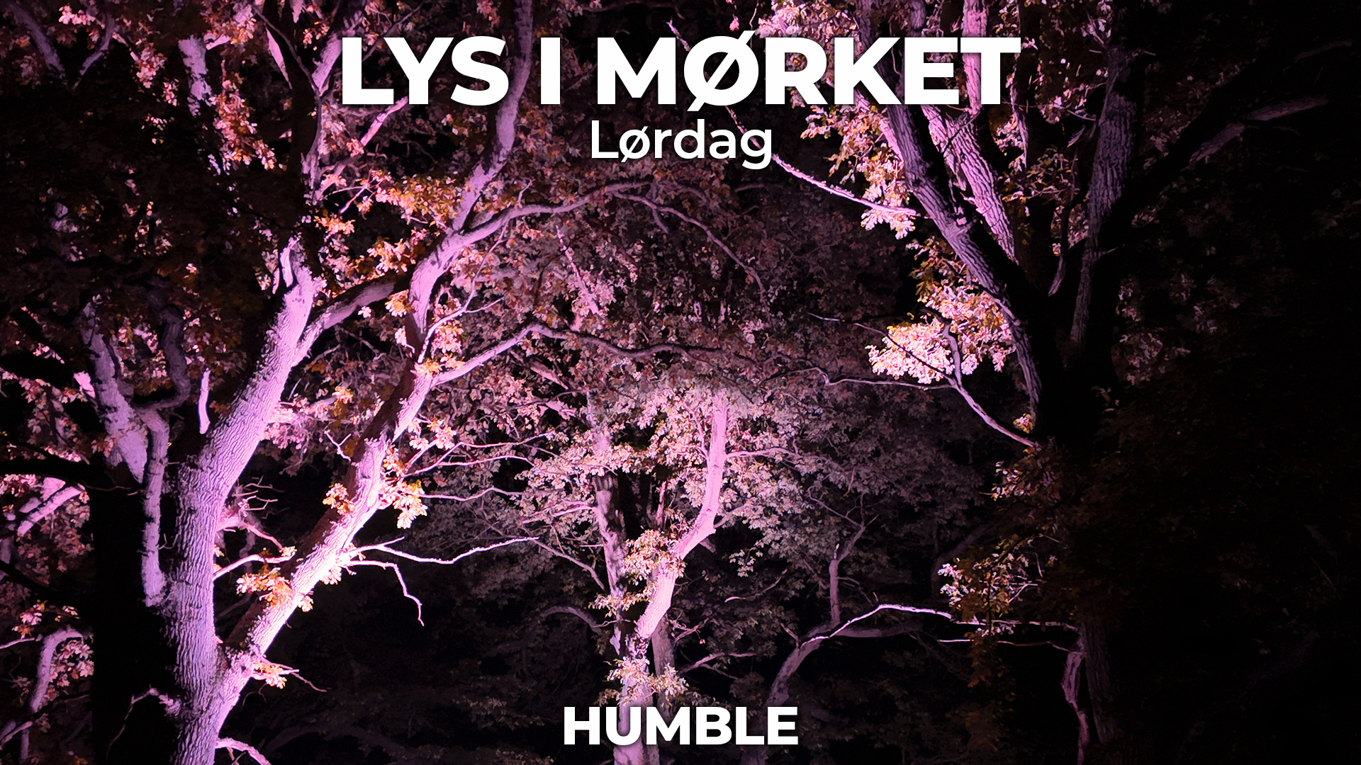 Lys på træer