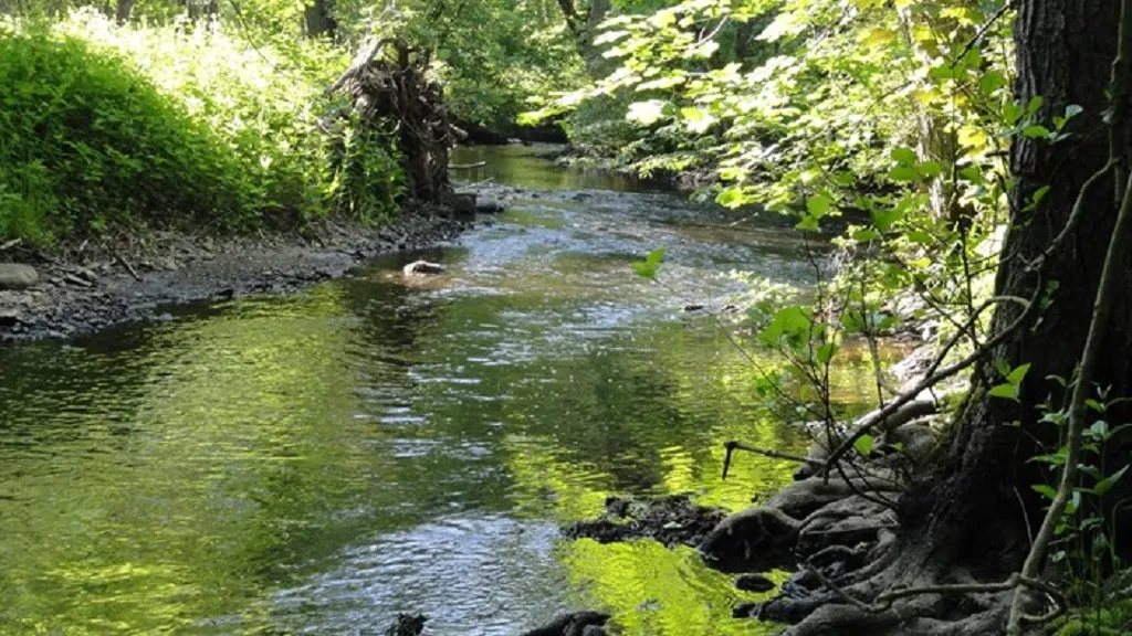 Brænde Ådal