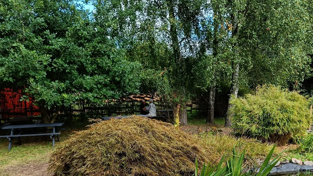 Rønholtdyregård - besøgsbondegård