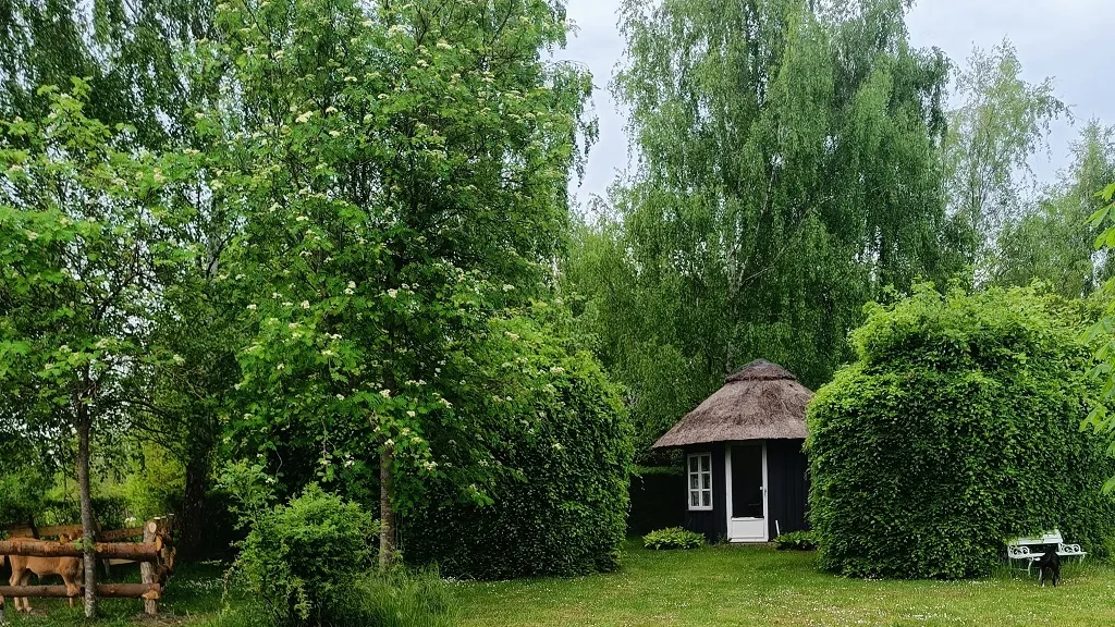 Rønholtdyregård - besøgsbondegård