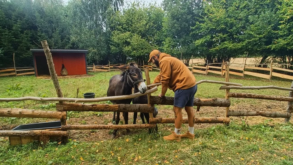 Rønholtdyregård - besøgsbondegård