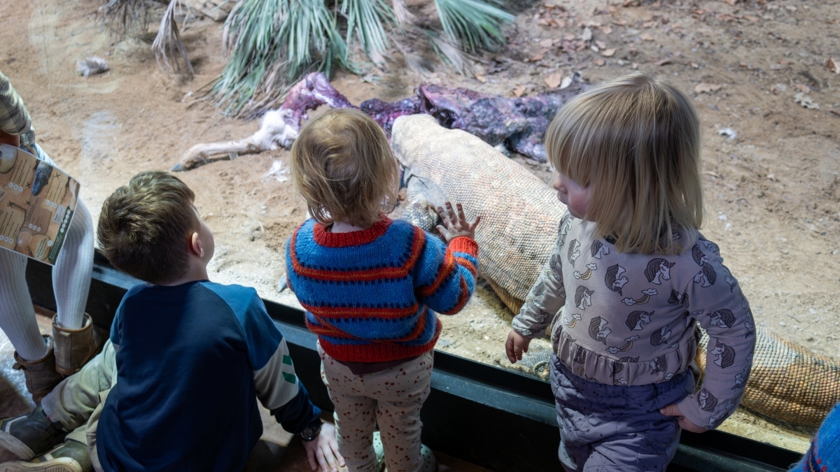 Terrariet Reptile Zoo