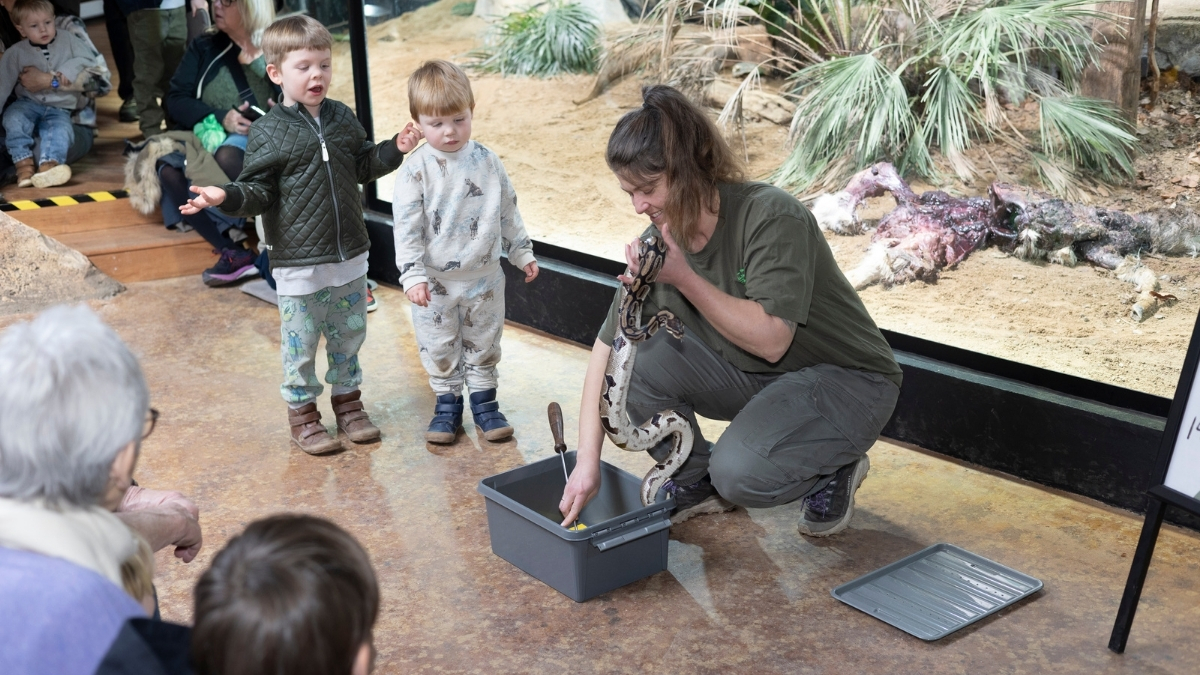 Terrariet Reptile Zoo