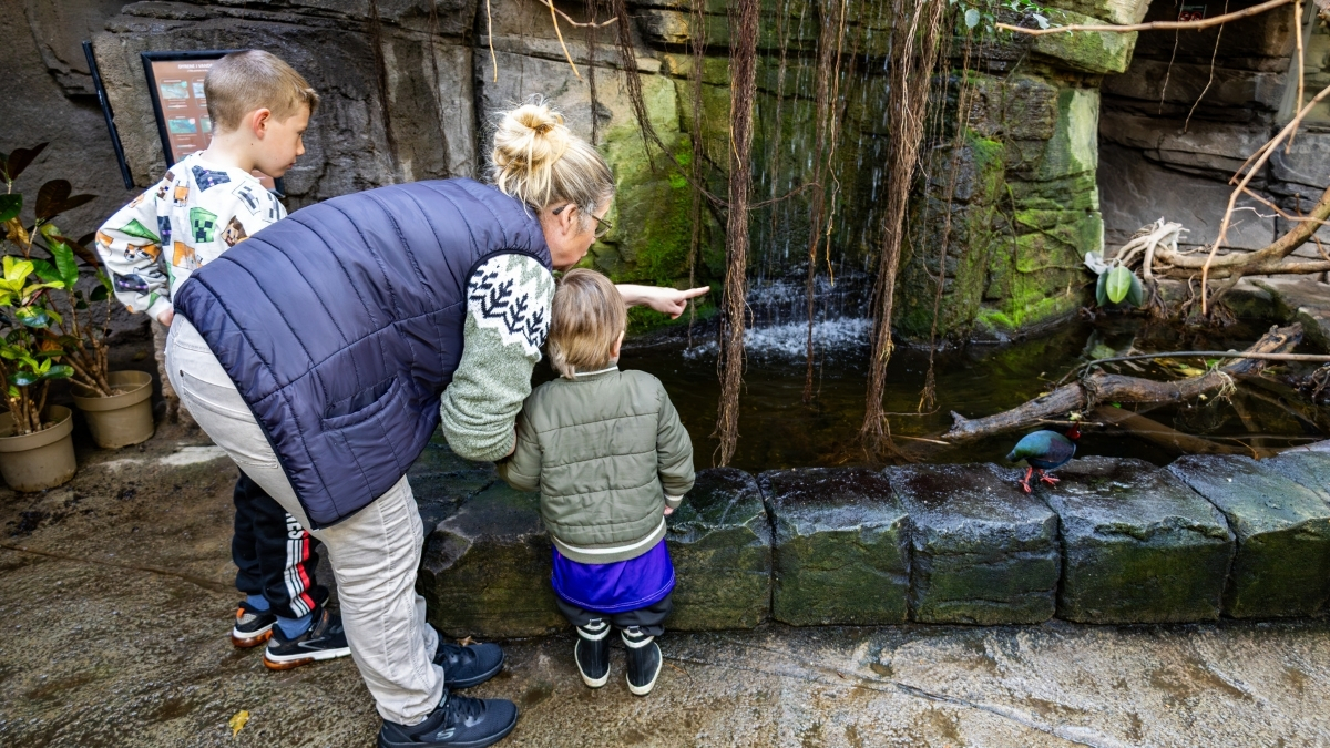 Terrariet Reptile Zoo