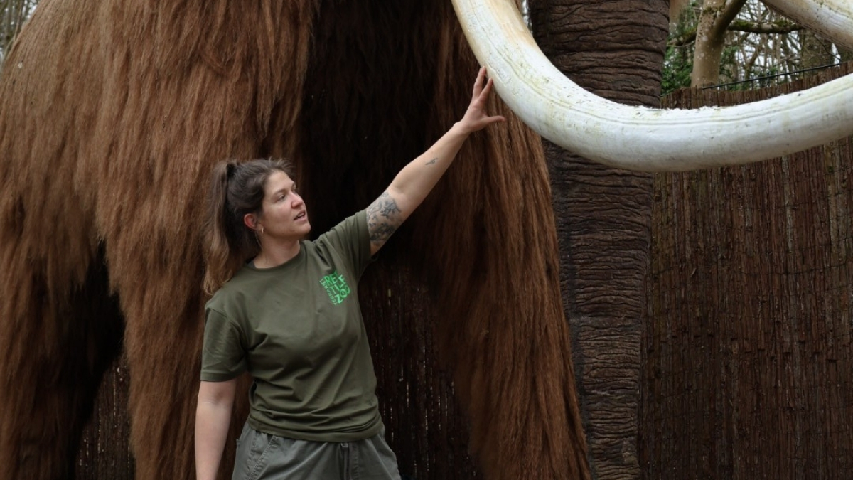 Terrariet Reptile Zoo – Istidens Giganter