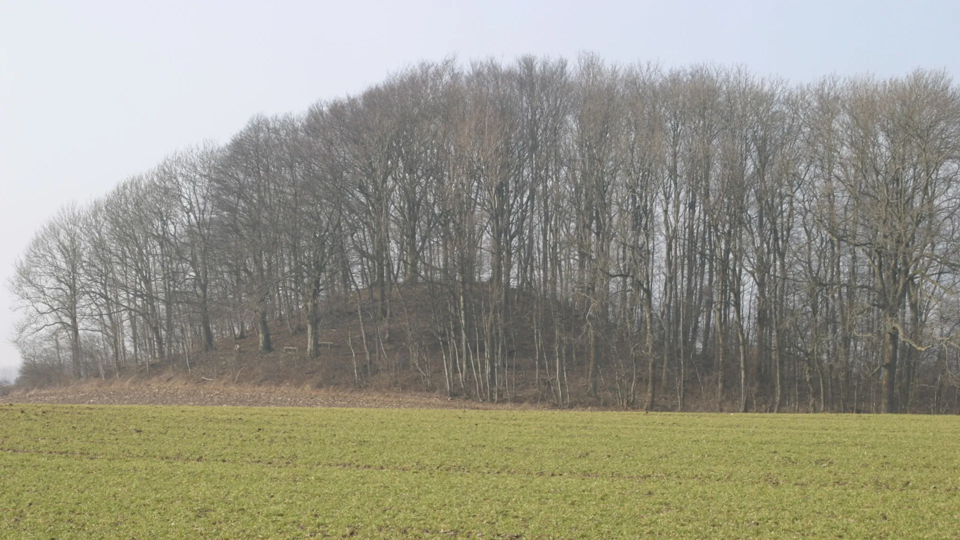 Buskehøj, en af Danmarks højeste gravhøje, set fra Lusehøj