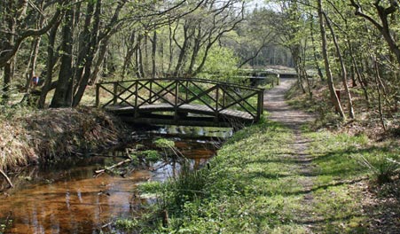 Shelters in Tversted Klitplantage