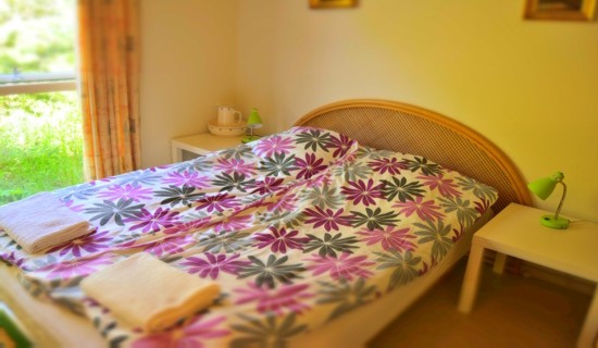 Skagensvej 40 - private accomodation