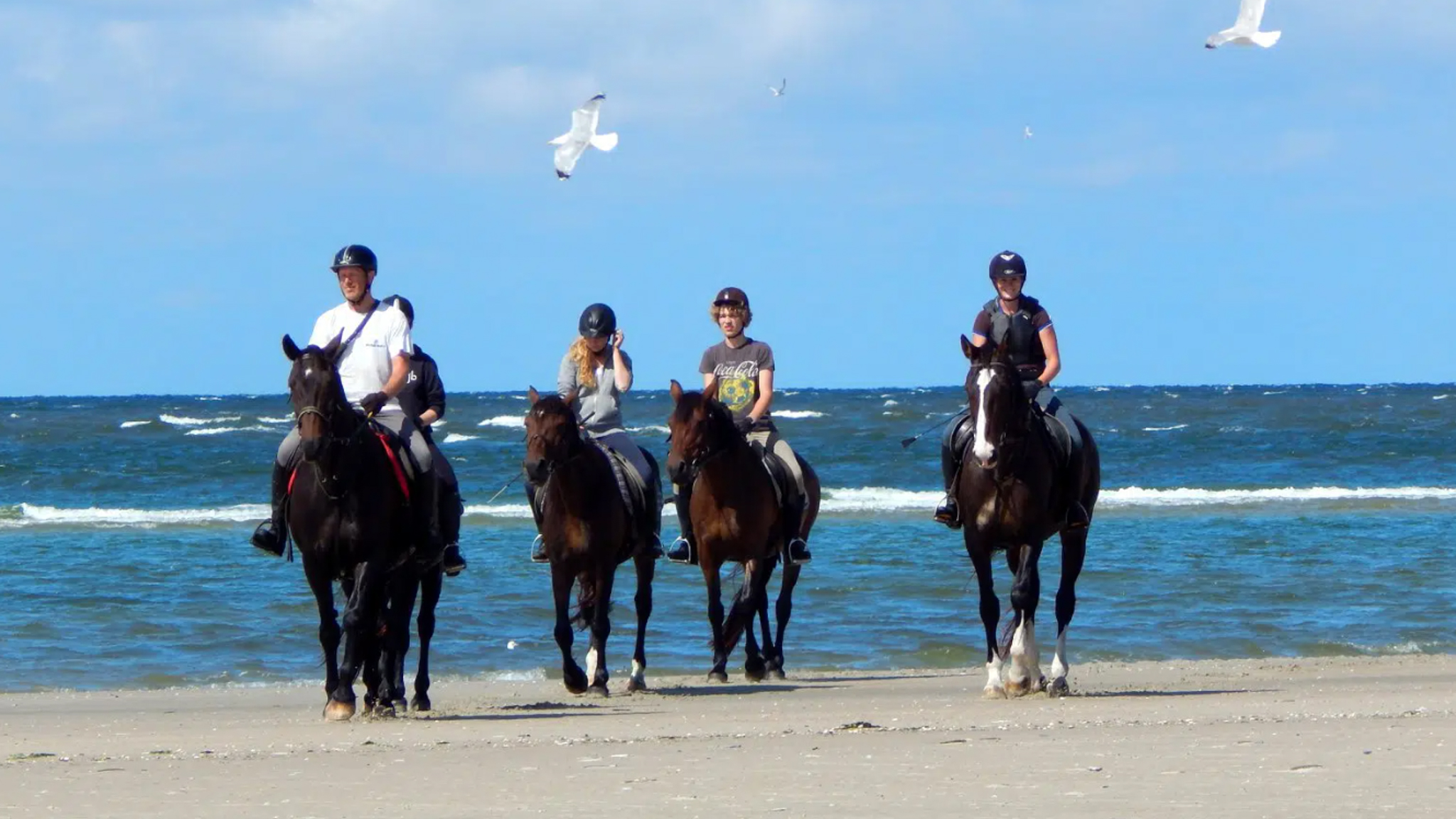 B&B Thomsen - Rømø