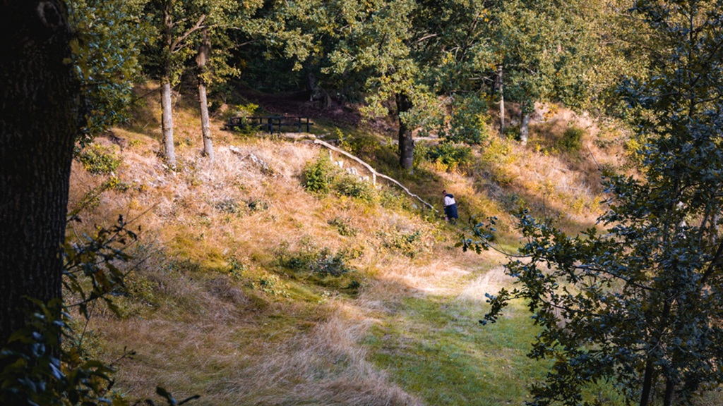 Sparekasseskoven, Åved Plantage