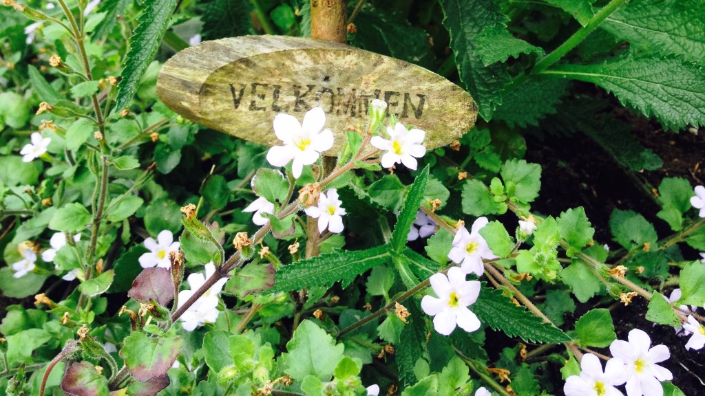 Hattesgaard Rømø - Antique and recycling