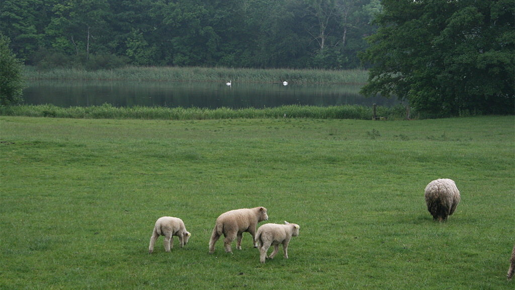 Visit Vejen Turistinformation