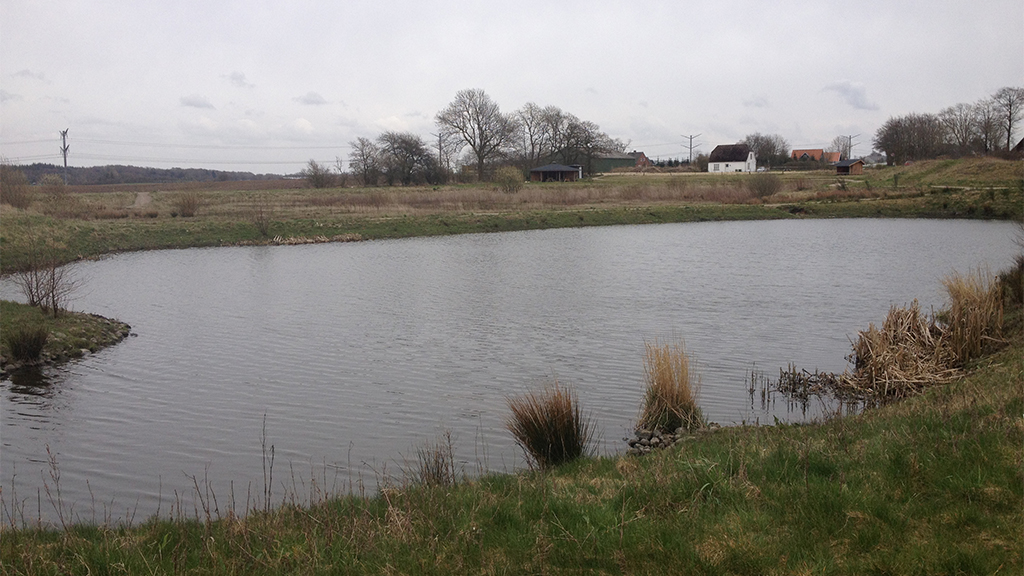 Campfire hut and shelters by Skodborg Børnesø