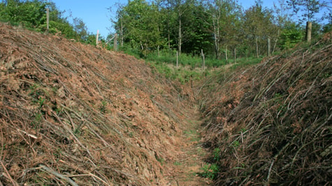 Das Panzergrab in Lintrup