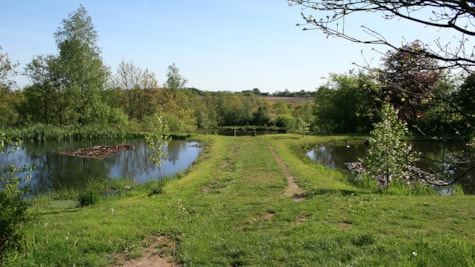 Lakes in Lintrup Præsteskov