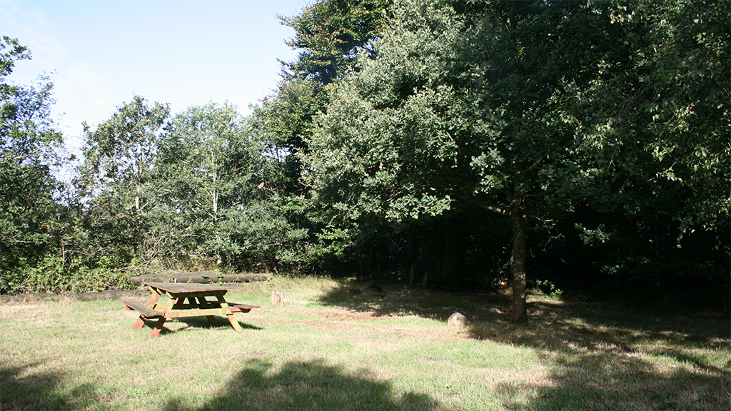 Teltplads ved Andst Å