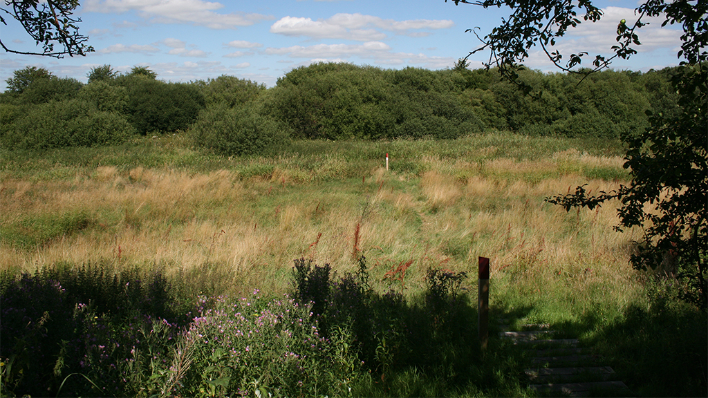 Udsigt over Kongeådalen og Kongeåstien
