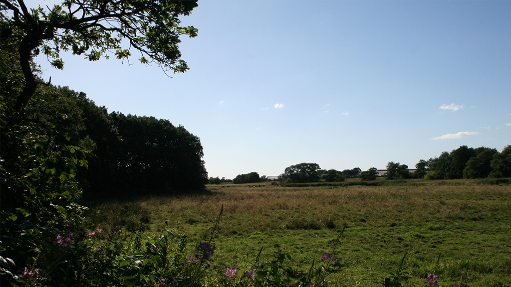 Shelters near Frihedsbroen, Kongeåstien